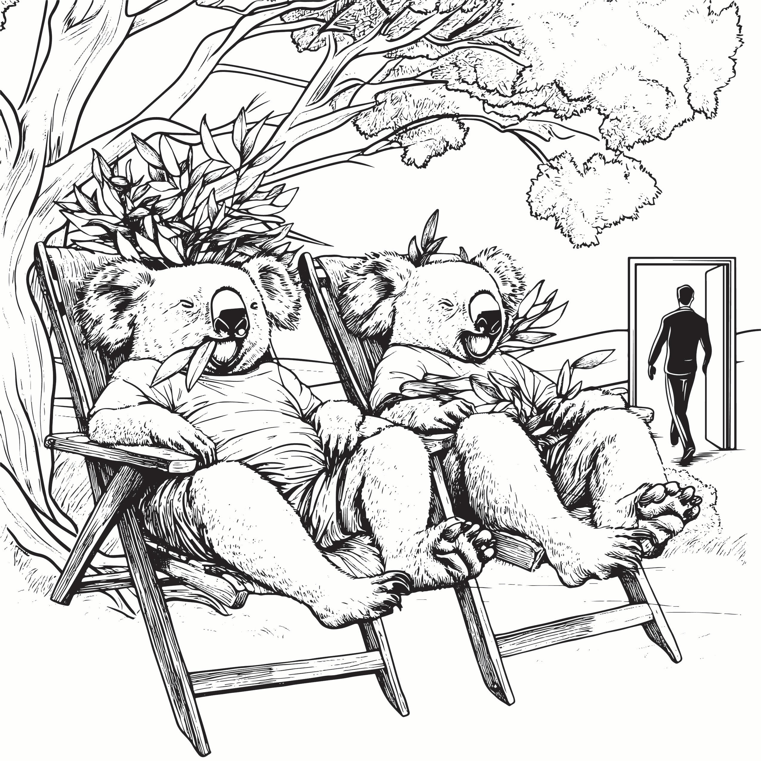 Koala's Eating Eucalyptus